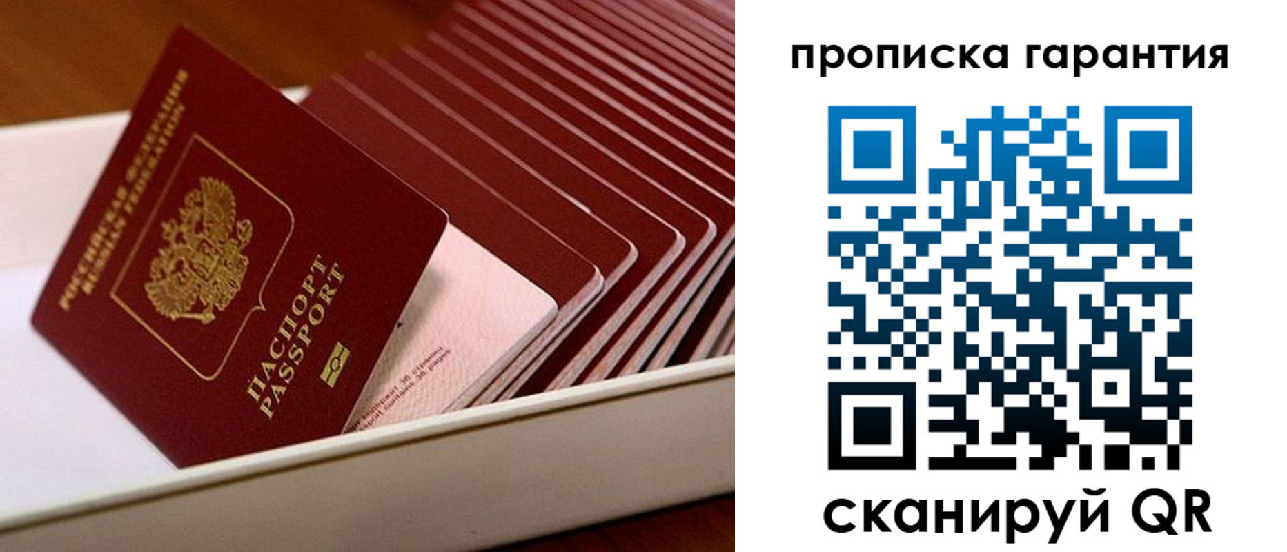прописка поиск в Выксе